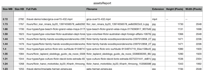 Asset size report imported into a spreadsheet